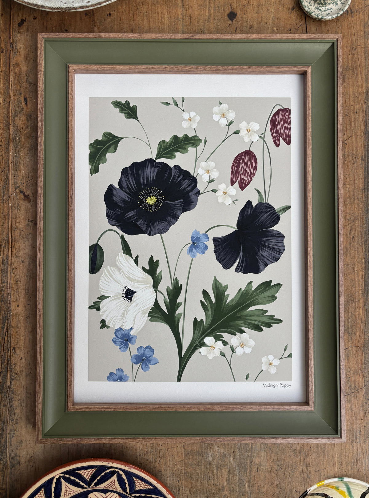 Midnight Poppy